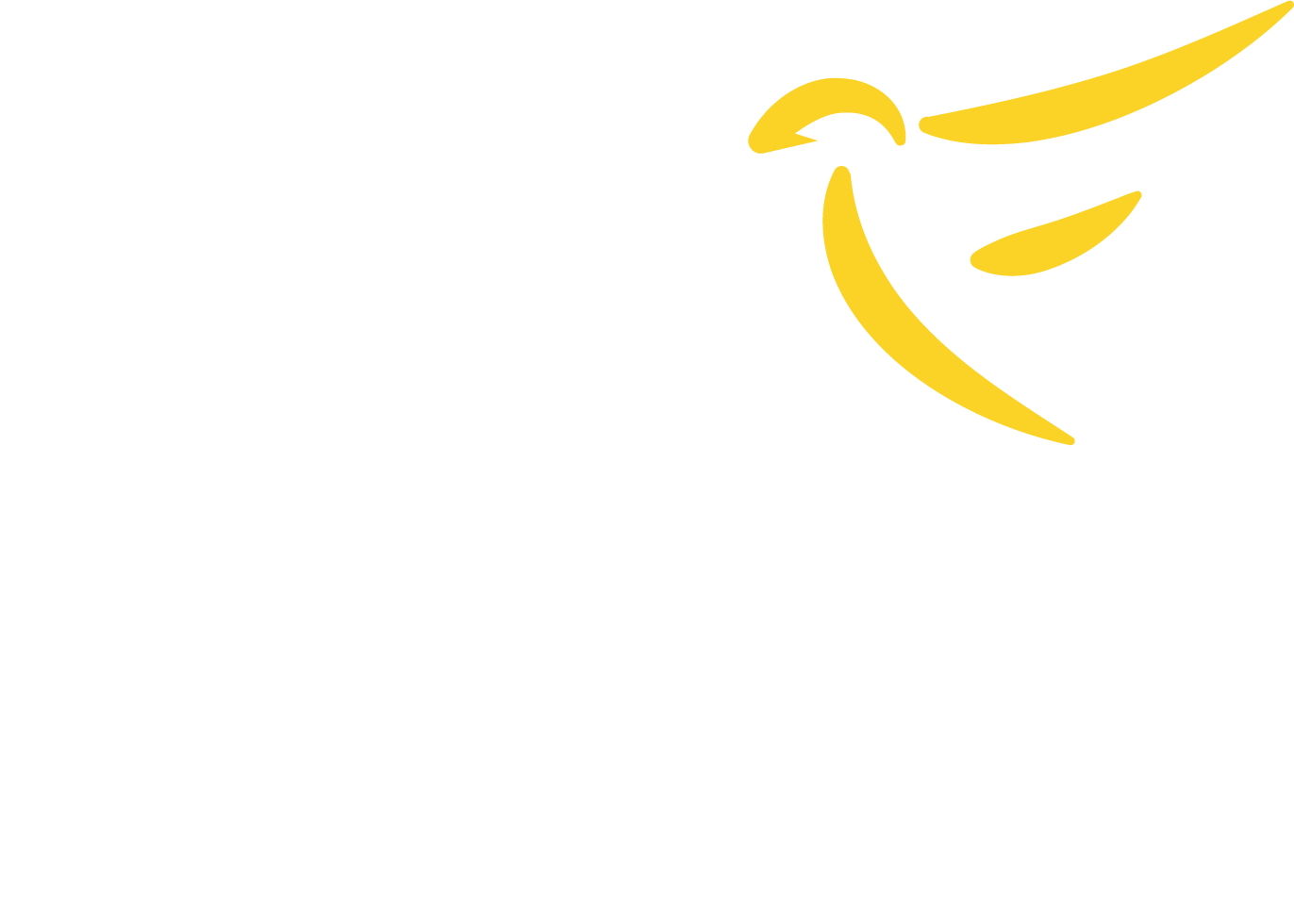 Biohaven Epilepsy Rise Logo